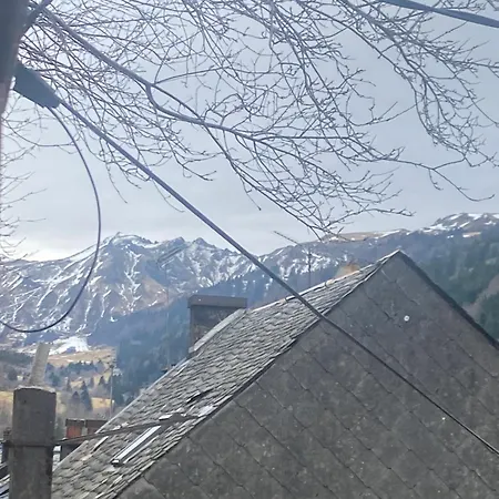 Maison Les Papillons * Le Mont-Dore